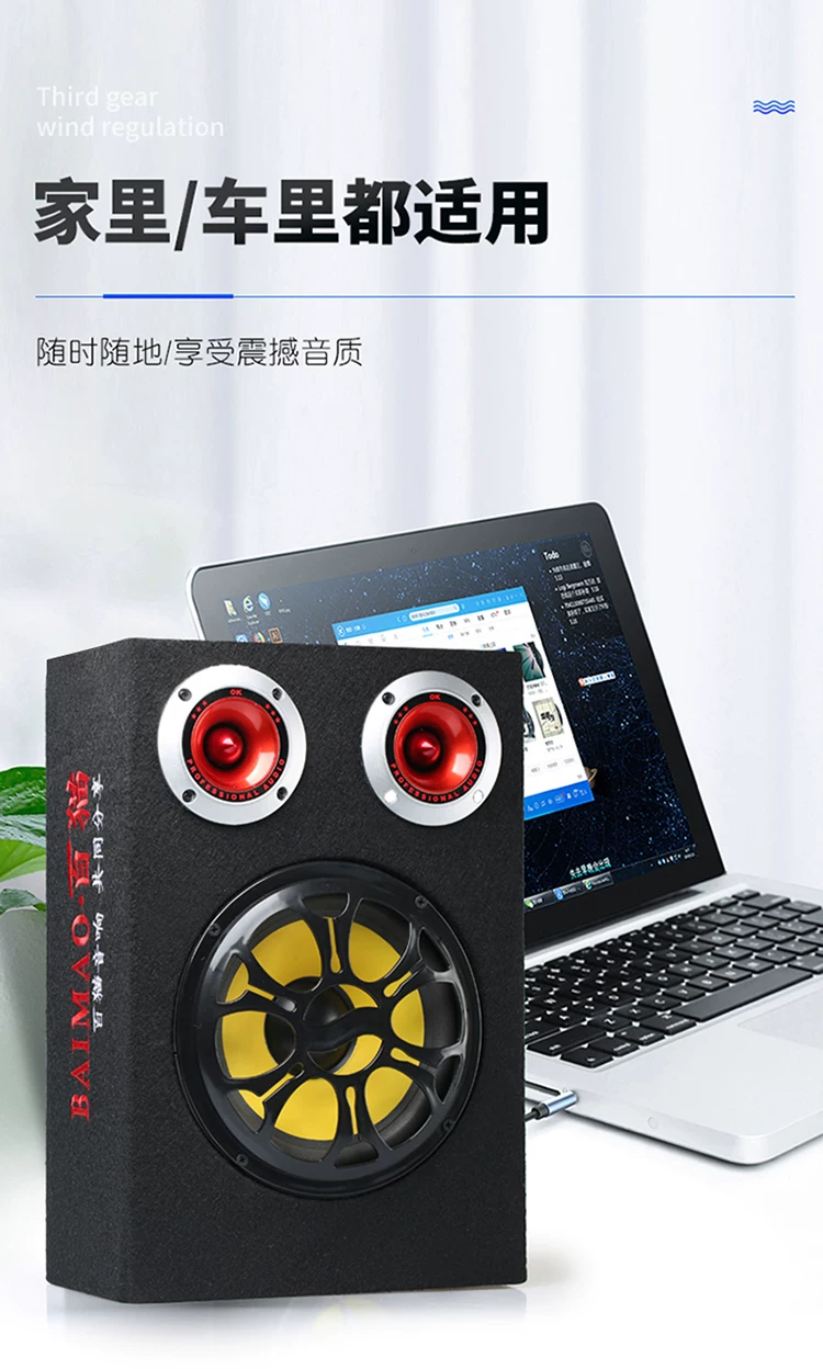 功率家用重低音大音响蓝牙8寸10寸音箱汽车低音炮0v车载