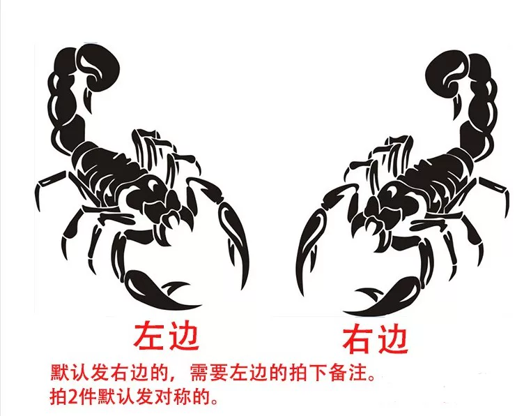 贴蝎子装贴纸机盖贴拉花蝎子改装刮纸痕车身贴汽车头盖饰贴汽车